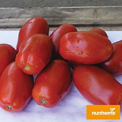 ИНКАС F1 / INCAS F1 - семена томата (помидора), Nunhems