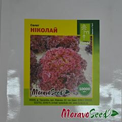 НІКОЛАЙ / NIKOLAY - насіння салату, Moravoseed