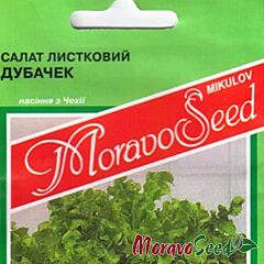 ДУБАЧЕК / DUBACHEK - семена салата, Moravoseed