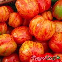 ДУО / DUO - насіння томата (помідора), Moravoseed