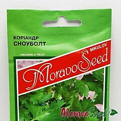 СНОУБОЛТ / SNOUBOLT - насіння кінзи (коріандру), Moravoseed
