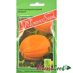 ГОЛІАШ (АТЛАНТ) / GOLIASH (ATLANT) - насіння гарбуза, Moravoseed