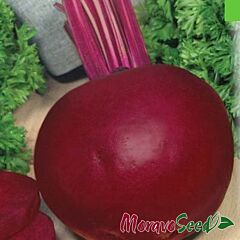 КРАСНЫЙ ШАР / KRASNYI SHAR - семена столовой свеклы, Moravoseed