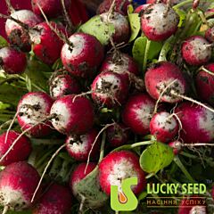 НИКОЛЬ (СТАНДАРТ+) / NIKOL - семена редиса, Lucky Seed