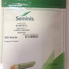 СВ 8575 F1 / SV 8575 F1 - семена кабачка, Seminis