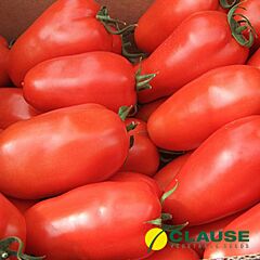 АЙДАР F1 / AJDAR F1 - насіння індетермінантного томату, Clause