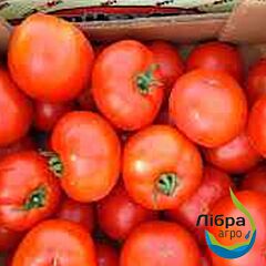 СВІТ МУССОН F1 (986) / SVIT MUSSON F1 (986) - насіння томата (помідора), LibraSeeds (Erste Zaden)