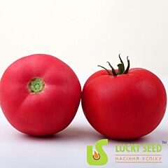 ПІНК БАРБІ F1 / PINK BARBI F1 - насіння томата (помідора), Lucky Seed