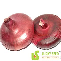 ЯЛТИНСЬКИЙ F1 / YALTINSKII F1 - семена лука, Lucky Seed