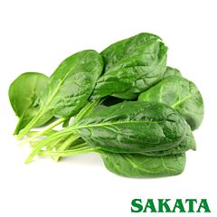 КЛІППЕР F1 / KLIPPER F1 - насіння шпинату, Sakata