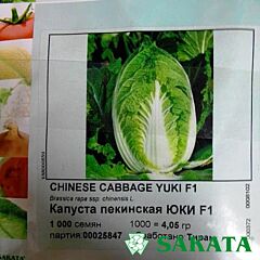 ЮКІ F1 / YUKI F1 - насіння пекінської капусти, Sakata