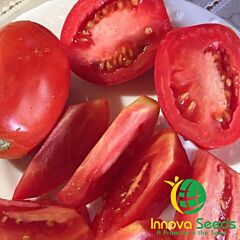 ІНХ 36-2019 F1 / INX 36-2019 F1 - насіння томата (помідора), INNOVA SEEDS