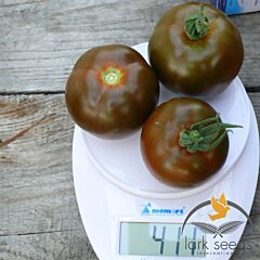 МАВР F1 / MAVR F1 - насіння томата (помідора), Lark Seeds