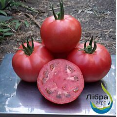 СІМ-СІМ (ЕЗ 777) F1 / SIM-SIM (EZ 777) F1 - насіння томата (помідора), LibraSeeds (Erste Zaden)