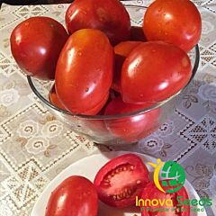 ІНХ 36-2019 F1 / INX 36-2019 F1 - насіння томата (помідора), INNOVA SEEDS