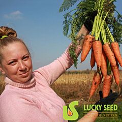 НАРИНА F1 / NARINA F1 - семена моркови, Lucky Seed