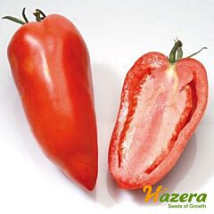 КОРНАБЕЛЬ F1 / KORNABEL F1 - семена томата (помидора), Hazera