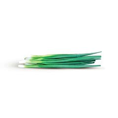 БАЙЯ ВЕРДЕ F1 / BAJA VERDE F1 - семена лука, Seminis