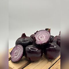 РОХО ДУРО (РОЙО ДУРО) F1 / ROJO DURO (ROYO DURO) F1 - насіння цибулі, LibraSeeds