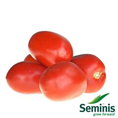 ЯГ 8810 F1 / JAG 8810 F1 - семена томата (помидора), Seminis