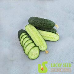 АЗАРТ F1 / AZART F1 - насіння огірка, Lucky Seed