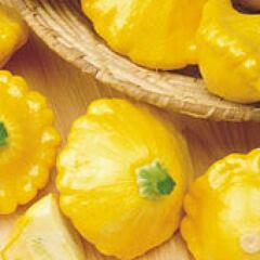 САННИ ДЕЛАЙТ F1 / SUNNY DELIGHT F1 - семена патиссона, Seminis