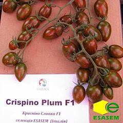 КРІСПІНА ПЛЮМ F1 / KRISPINA PLIUM F1 - насіння томата (помідора), Esasem