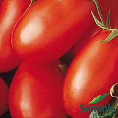 ХАЙПІЛ 108 F1 / HYPEEL 108 F1 - насіння томата (помідора), Seminis