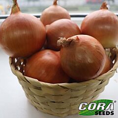 ЦРХ 2301 F1 / CRX 2301 F1 - семена лука, Cora Seeds