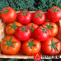 ПЛ 6212 F1 / PL 6212 F1 - семена томата (помидора), Asia Seed