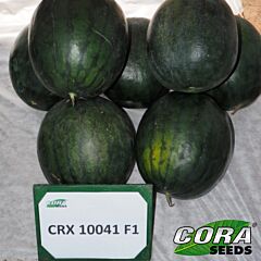 ЦРХ 10041 F1 / CRX 10041 F1 - насіння кавуна, Cora Seeds