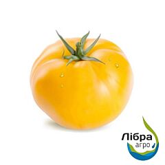 РАНІ F1 / RANI F1 - насіння томата (помідора), LibraSeeds (Erste Zaden)