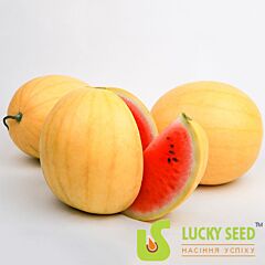 ЗОЛОТИЙ ВОГНИК (ЛС 1820) F1 / ZOLOTOI OGONEK (LS 1820) F1 - насіння кавуна, Lucky Seed