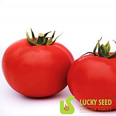ДАРУНА F1 / DARUNA F1 - насіння томата (помідора), Lucky Seed