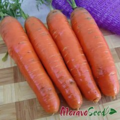ФАВОРИТ / FAVORIT - семена моркови, Moravoseed