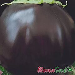 ЛАУРА / LAURA - насіння баклажана, Moravoseed