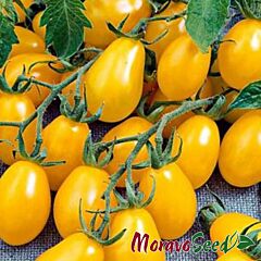 ПЕРУН / PERUN - насіння томата (помідора), Moravoseed