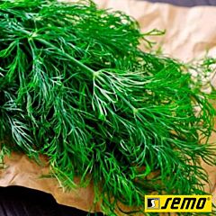 АМАЗОН / AMAZON - семена укропа, Semo
