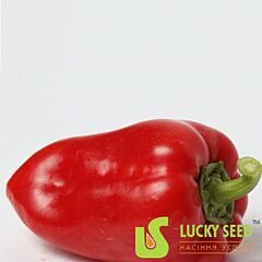 АРБАЛЕТ F1 / ARBALET F1 - семена перца, Lucky Seed