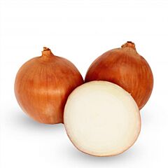 АТИКА F1 / ATTIKA F1 - семена лука, Cora Seeds