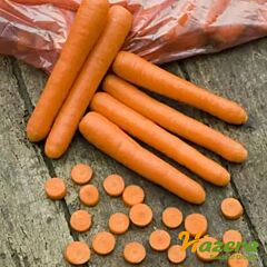 БОЛЕРО F1 / BOLERO F1 - насіння моркви, Hazera