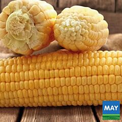 ДІМАКС F1 / DIMAKS (TANEM) F1 - насіння цукрової кукурудзи, May Seeds