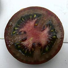 ДЖОРДАНО F1 / DZHORDANO F1 - семена томата (помидора), Spark Seeds