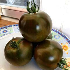 ДЖОРДАНО F1 / DZHORDANO F1 - семена томата (помидора), Spark Seeds