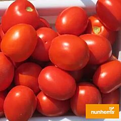 ФОККЕР F1 / FOKKER F1 - семена томата (помидора), Nunhems