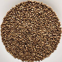 Гречневая ядрица быстроразвариваемая крупа оптом — мешки 25/50 кг, ДСТУ