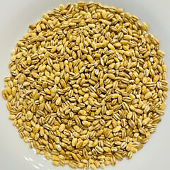 Крупа ячменная перловая оптом — мешки 25/50 кг, ДСТУ