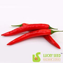 КАМПЕЧЕ F1 / KAMPECHE F1 - семена перца, Lucky Seed