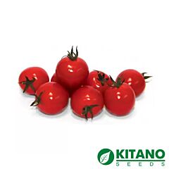 КОНОРІ F1 / KONORI F1 - насіння томата (помідора), Kitano Seeds