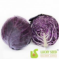 КОРНЕТ F1 / KORNET F1 - насіння червоноголової капусти, Lucky Seed